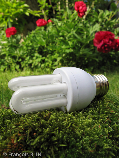 Toute reproduction interdite