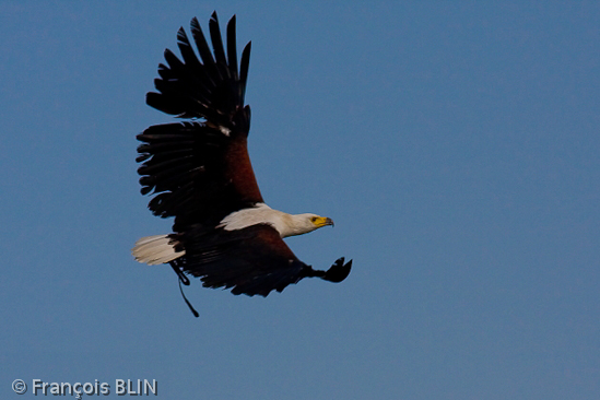 Toute reproduction interdite