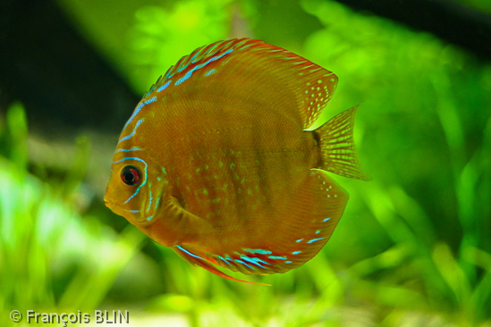 Toute reproduction interdite