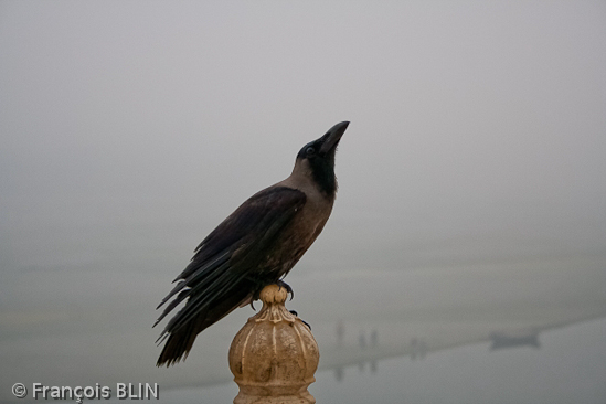 Toute reproduction interdite