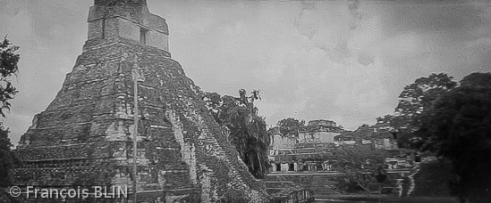 Toute reproduction interdite