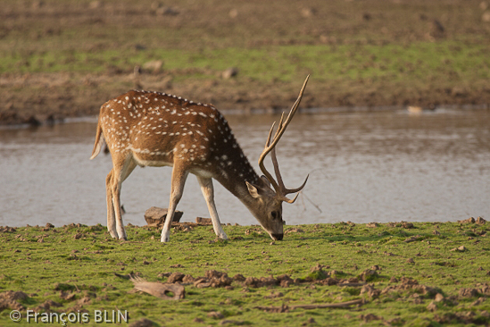Toute reproduction interdite