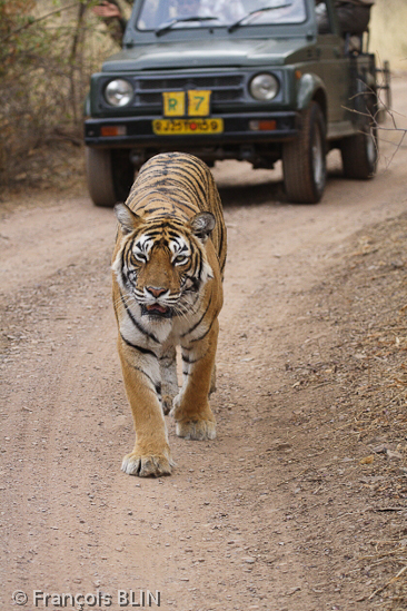 Toute reproduction interdite