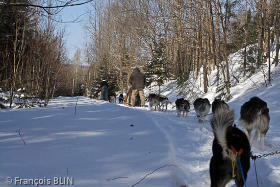 Toute reproduction interdite