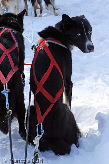 Toute reproduction interdite