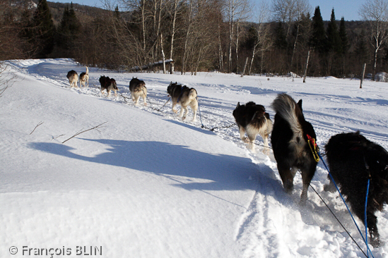 Toute reproduction interdite