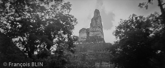 Toute reproduction interdite