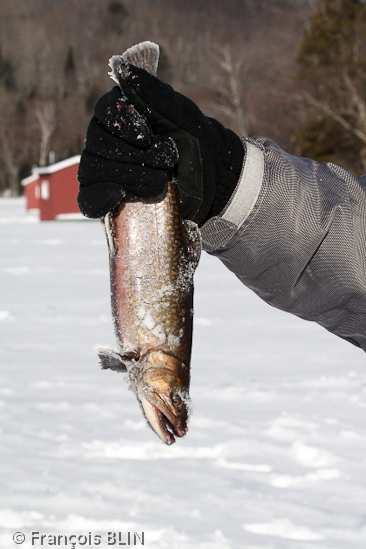 Toute reproduction interdite