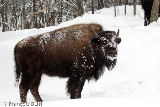 Toute reproduction interdite