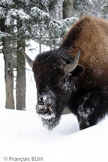 Toute reproduction interdite