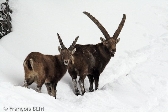 Toute reproduction interdite