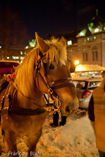 Toute reproduction interdite