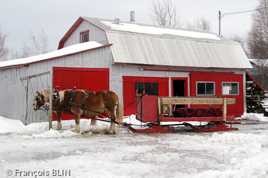 Toute reproduction interdite