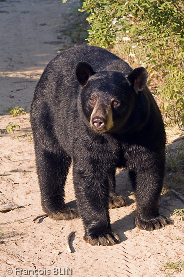 Toute reproduction interdite