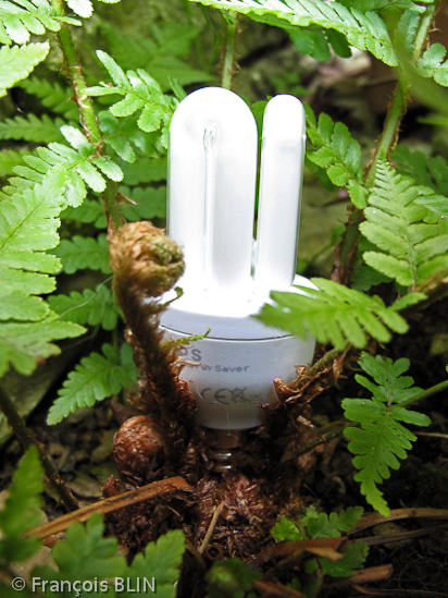 Toute reproduction interdite